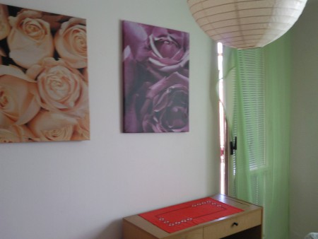 Dvere na loggiu z ob. izby.